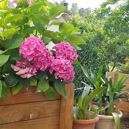 Sa Cova De Mallorca Nyaraló Sencelles