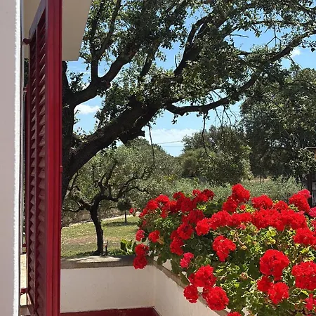 Sa Cova De Mallorca Sencelles