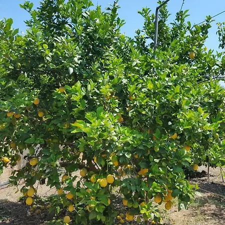 Nyaraló Sa Cova De Mallorca *