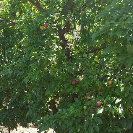 Sa Cova De Mallorca Nyaraló Sencelles