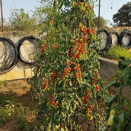 Sa Cova De Mallorca Nyaraló