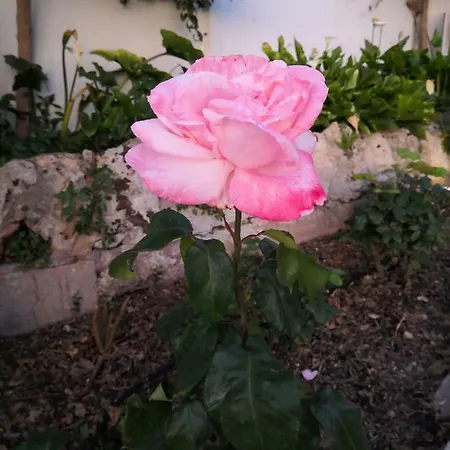 Sa Cova De Mallorca Nyaraló *