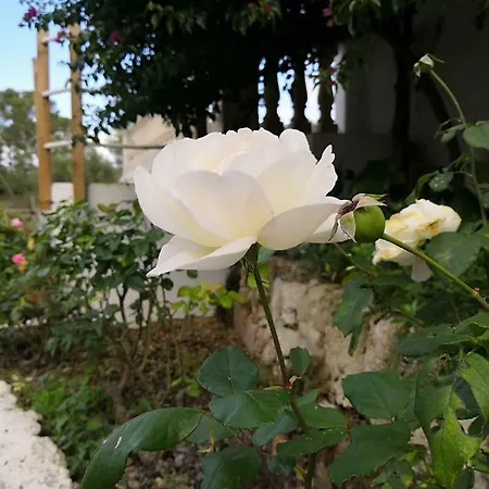 Sa Cova De Mallorca *