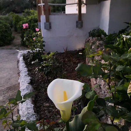 Sa Cova De Mallorca Sencelles