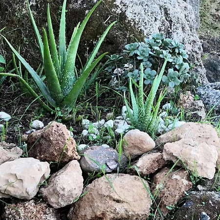 Sa Cova De Mallorca Nyaraló