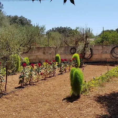 Sa Cova De Mallorca Sencelles